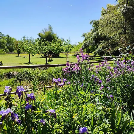 La Grange Du Moulin De Tauran *